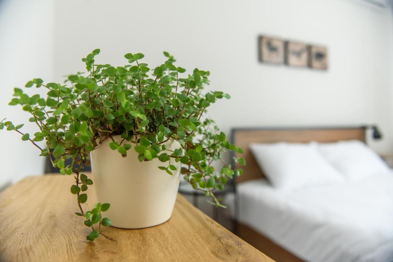 Tamtam Urban Aparthotel Клуж-Напока Екстериор снимка